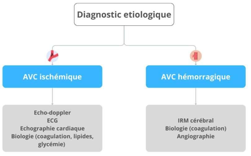 Fiche IDE l Accident Vasculaire Cérébral AVC