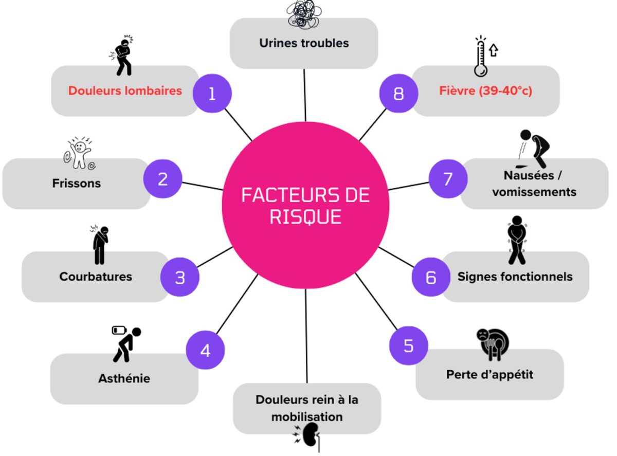 Les infections urinaires - Notion infirmier Fiche IDE : Infections ...